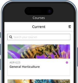 Blackboard Clone App